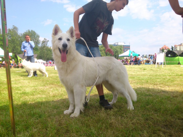 DSC_3543.jpg
